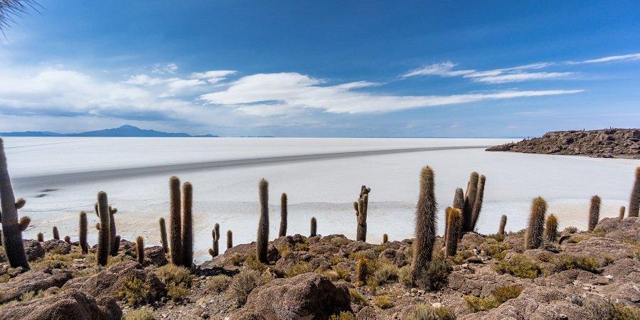 Incahuasi island,Aitiplano, Bolivia
